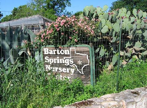 Winner of the Barton Springs Nursery Giveaway